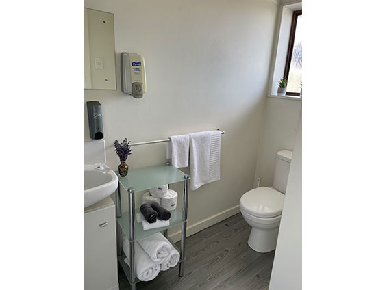 2-bedroom unit shower