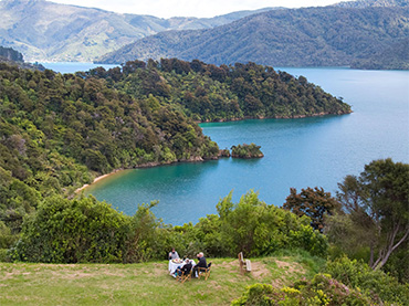 Marlborough Scenic & Wilderness Tours