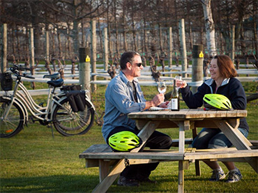 Wine Tours by Bike