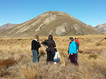 Molesworth Tour Company