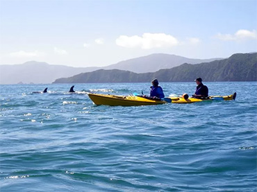 Marlborough Sounds Adventure Company